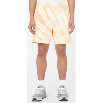 textil Hombre Shorts / Bermudas Dickies Westfir short Rosa