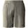 textil Hombre Shorts / Bermudas The North Face Pantalones cortos Heritage Dye Hombre New Taupe Green Gris