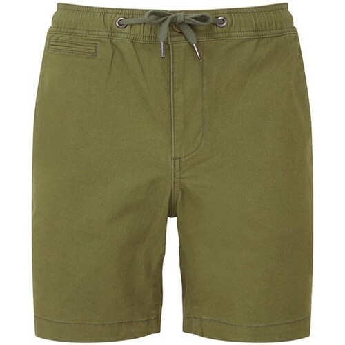 textil Hombre Shorts / Bermudas The Wombats WB902 Verde