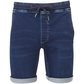 textil Hombre Shorts / Bermudas The Wombats WB907 Azul
