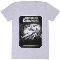 textil Camisetas manga larga Dungeons & Dragons HE1478 Gris