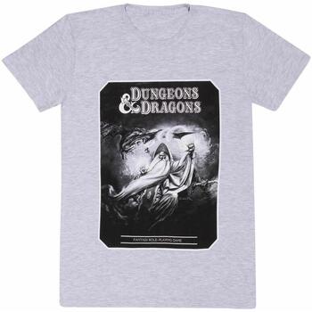 textil Camisetas manga larga Dungeons & Dragons  Gris