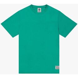 textil Hombre Tops y Camisetas Franklin & Marshall JM3180.1009P01-108 Verde