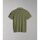 textil Hombre Tops y Camisetas Napapijri GANDY 4 - NP0A4H8R-GAE1 GREEN LICHEN Verde