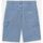 textil Hombre Shorts / Bermudas Dickies GARYVILLE DNM SHORT - DK0A4XCK-C151 - VNTG BLUE Azul