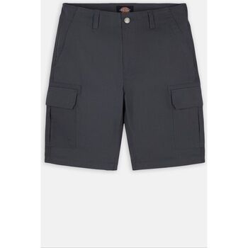 textil Hombre Shorts / Bermudas Dickies MILLERVILLE SHORT - DK0A4XED-CH01 - CHARCOAL GREY Gris