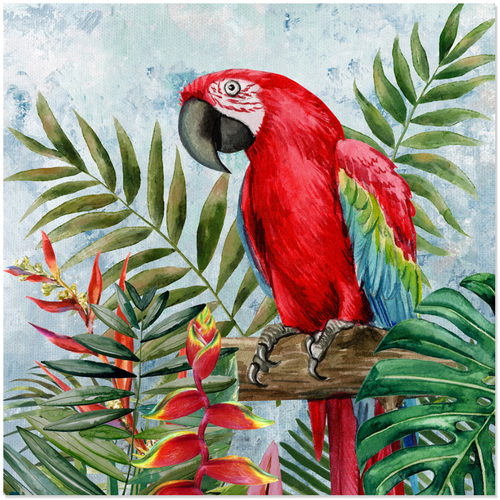 Casa Cuadros / pinturas Signes Grimalt Cuadro pájaro Loro Rojo