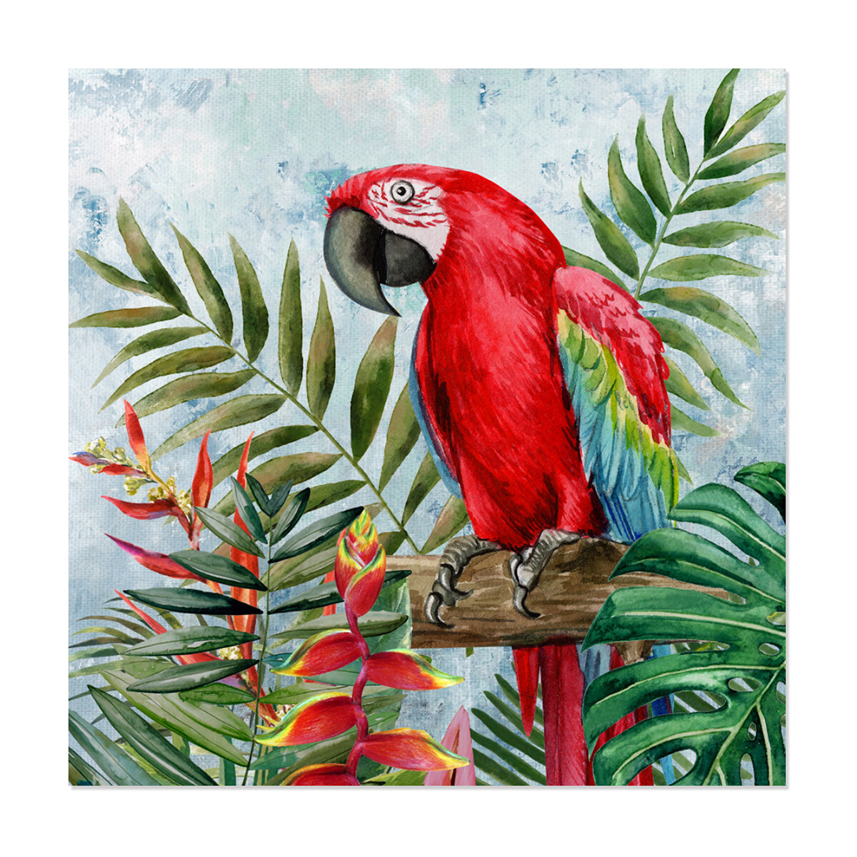 Casa Cuadros / pinturas Signes Grimalt Cuadro pájaro Loro Rojo