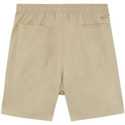 textil Hombre Shorts / Bermudas Dickies DK0A4XB2DS01 Beige