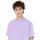 textil Hombre Camisetas manga corta Dickies DK0A4TMOE611 Violeta