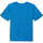 textil Niños Camisas manga corta Columbia Mount Echo Short Sleeve Graphic Shirt Azul