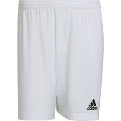 textil Pantalones cortos adidas Originals ENT22 SHORT BL Blanco