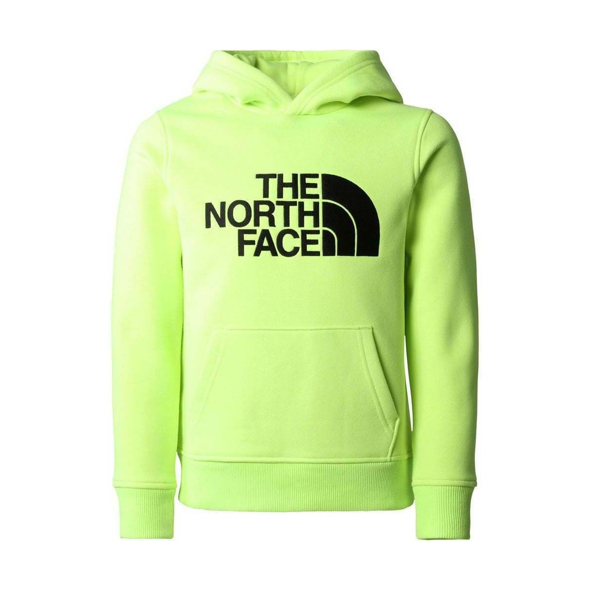textil Niños Camisas manga corta The North Face B DREW PEAK P/O HOODIE Verde
