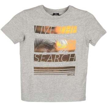 Rip Curl PALM PICTURE SS TEE Gris
