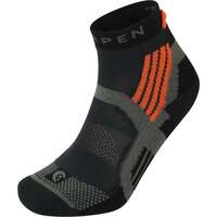 Ropa interior Calcetines de deporte Lorpen X3TP TRAIL RUNNING PADDED Gris