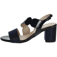 Zapatos Mujer Sandalias Sofia 5018 Azul