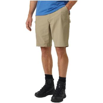 textil Hombre Shorts / Bermudas Helly Hansen 63052-757 Beige