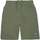 textil Hombre Shorts / Bermudas Converse NOVELTY CHUCK PATCH SHORT Verde