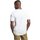 textil Hombre Camisas manga corta adidas Originals TX Logo Tee Blanco