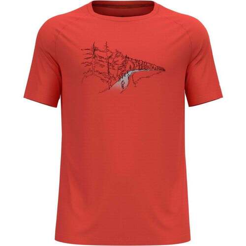 textil Hombre Camisas manga corta Odlo T-shirtcrewnecks/sESSENTIALPRINT Rojo