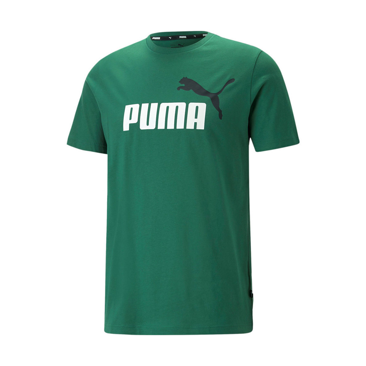 textil Hombre Polos manga corta Puma ESS+ 2 Col Logo Tee Verde