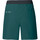 textil Mujer Pantalones de chándal Vaude Women's Scopi LW Shorts II Verde