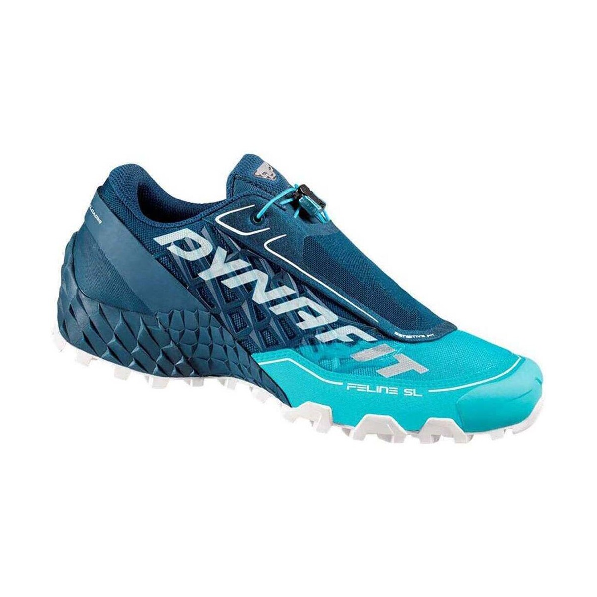 Zapatos Mujer Running / trail Dynafit FELINE SL W Azul