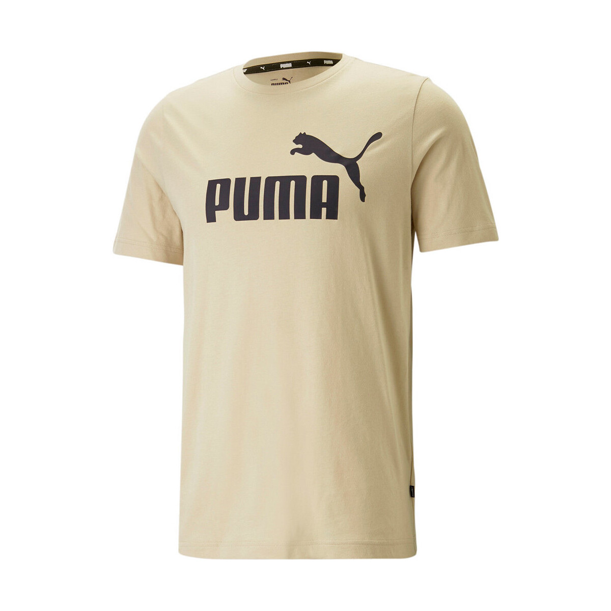 textil Hombre Polos manga corta Puma ESS Logo Tee Beige
