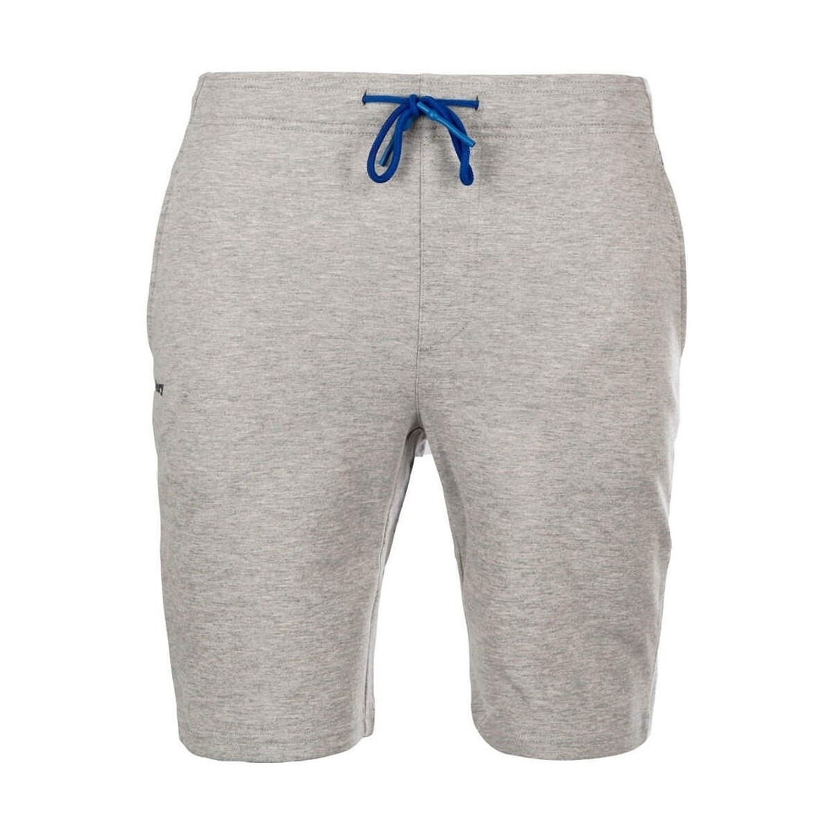textil Hombre Shorts / Bermudas Abery R-MAINE Multicolor