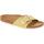 Zapatos Mujer Zuecos (Mules) Birkenstock 1022175 Amarillo