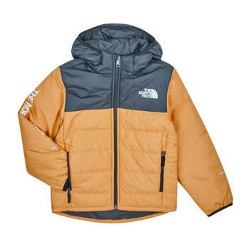 The North Face Boys Never Stop Synthetic Jacket