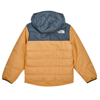 The North Face Boys Never Stop Synthetic Jacket Marrón