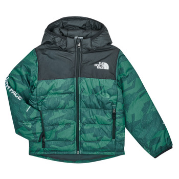 The North Face Boys Never Stop Synthetic Jacket Verde