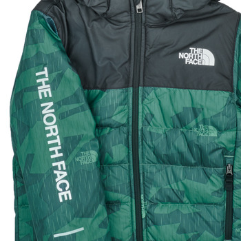 The North Face Boys Never Stop Synthetic Jacket Verde