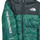 textil Niño cazadoras The North Face Boys Never Stop Synthetic Jacket Verde