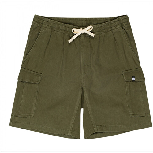 textil Hombre Shorts / Bermudas Element Utility wkst Verde