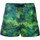 textil Hombre Shorts / Bermudas 4giveness FGBM2626 Multicolor