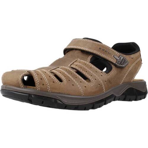Zapatos Hombre Sandalias IgI&CO 3641222 Marrón
