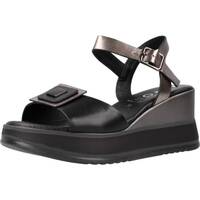 Zapatos Mujer Sandalias Repo 21411R Negro