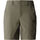textil Mujer Pantalones de chándal The North Face W TRAVEL SHORTS Verde