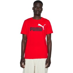 textil Hombre Camisetas manga corta Puma  Rojo