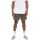 textil Hombre Shorts / Bermudas Vans Mn Range Relaxed Elastic Short Verde
