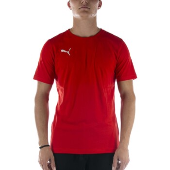 textil Hombre Tops y Camisetas Puma T-Shirt  Teamgoal 23 Casuals Tee Rosso Rojo