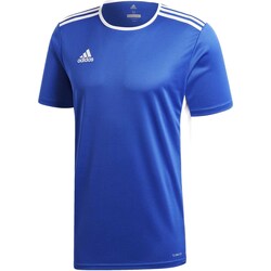 textil Hombre Tops y Camisetas adidas Originals T-Shirt  Entrada 18 Jsy Royal Blu Azul