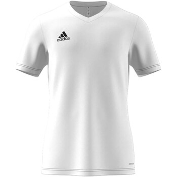 textil Hombre Tops y Camisetas adidas Originals Ent22 Jsy White Blanco