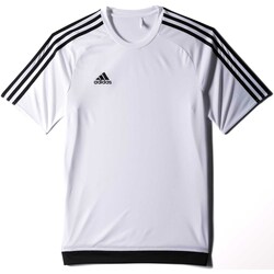 textil Niño Tops y Camisetas adidas Originals T-Shirt  Estro 15 Jsy Bianco Blanco