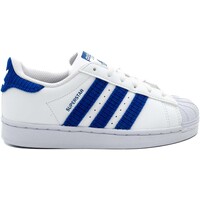 Zapatos Niños Deportivas Moda adidas Originals Sneakers  Superstar C Bianco Blanco