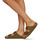 Zapatos Mujer Zuecos (Mules) Birkenstock ARIZONA Verde
