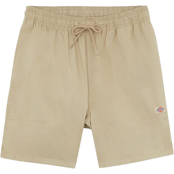 textil Hombre Shorts / Bermudas Dickies DK0A4XB2DS01 Beige