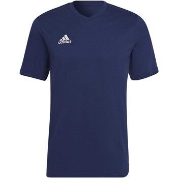 textil Hombre Tops y Camisetas adidas Originals Ent22 Tee Azul